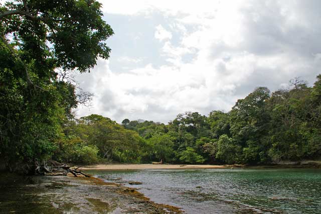 Playa Tortugilla Colon