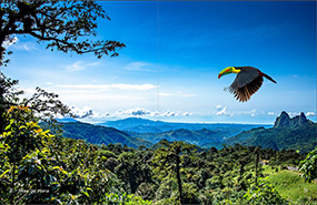 Panama Nature Photo Book